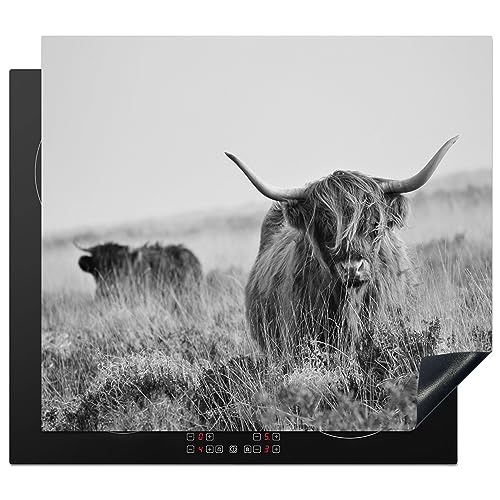 KitchenYeah© Herdabdeckplatte Einteilig Ceranfeld Abdeckplatte Küche Deko Ceranfeldabdeckung Herdabdeckung Induktionsmatte Schottisches Hochlandrind - Kuh - Grau - Hörner - Fell - Natur - 57x51 cm von KitchenYeah