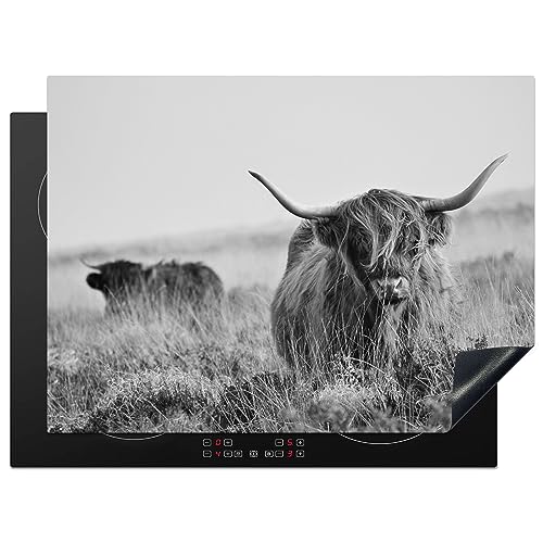 KitchenYeah© Herdabdeckplatte Einteilig Ceranfeld Abdeckplatte Küche Deko Ceranfeldabdeckung Herdabdeckung Induktionsmatte Schottisches Hochlandrind - Kuh - Grau - Hörner - Fell - Natur - 70x52 cm von KitchenYeah