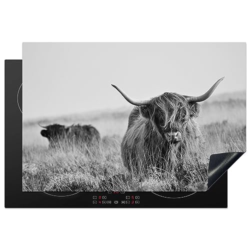 KitchenYeah© Herdabdeckplatte Einteilig Ceranfeld Abdeckplatte Küche Deko Ceranfeldabdeckung Herdabdeckung Induktionsmatte Schottisches Hochlandrind - Kuh - Grau - Hörner - Fell - Natur - 77x51 cm von KitchenYeah