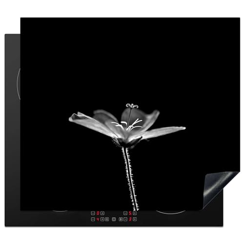 KitchenYeah© Herdabdeckplatte Einteilig Küche Ceranfeld Abdeckplatte Cerankochfeld Abdeckung Induktionskochfeld Schutzmatte Blätter - Schwarz - Gold - Luxus - Natur - Pflanzen - 59x52 cm von KitchenYeah