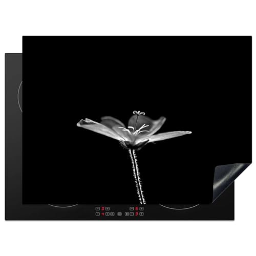 KitchenYeah© Herdabdeckplatte Einteilig Küche Ceranfeld Abdeckplatte Cerankochfeld Abdeckung Induktionskochfeld Schutzmatte Blätter - Schwarz - Gold - Luxus - Natur - Pflanzen - 71x52 cm von KitchenYeah