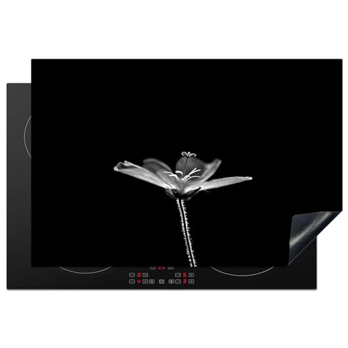 KitchenYeah© Herdabdeckplatte Einteilig Küche Ceranfeld Abdeckplatte Cerankochfeld Abdeckung Induktionskochfeld Schutzmatte Blätter - Schwarz - Gold - Luxus - Natur - Pflanzen - 78x52 cm von KitchenYeah