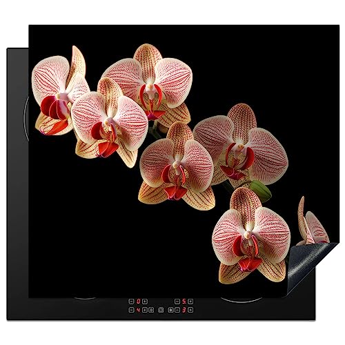 KitchenYeah© Herdabdeckplatte Einteilig Küche Ceranfeld Abdeckplatte Cerankochfeld Abdeckung Induktionskochfeld Schutzmatte Blumen - Orchidee - Rosa - Botanik - Natur - Pink - 58x51 cm von KitchenYeah