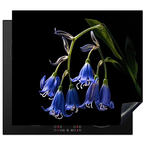 KitchenYeah© Herdabdeckplatte Einteilig Küche Herdabdeckung Induktionsfeld Ceranfeld Herdabdeckplatten Vinyl Matte Aufrollbar Hyazinthe - Blumen - Blau - Natur - Schwarz - 60x52 cm von KitchenYeah