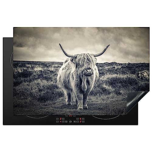 KitchenYeah© Herdabdeckplatte Einteilig Küche Kochfeld Abdeckung Ceranfeld Herdplattenabdeckung Aufrollbare Matte Schottisches Hochlandrind - Tiere - Wolken - Kuh - Natur - Fell - 80x52 cm von KitchenYeah