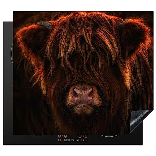 KitchenYeah© Herdabdeckplatte Induktion Schutzmatte Küche Herdabdeckung Cerankochfeld abdeckung Vinyl Matte Aufrollbar Schottisches Hochlandrind - Kuh - Porträt - Tiere - Fell - 60x52 cm von KitchenYeah