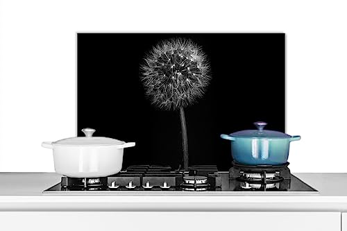 KitchenYeah© Küchenrückwand Platte Spritzschutz Küche Deko Aluminium Platte Spritzschutz Herd Alternative für Selbstklebende FolieLöwenzahn - Schwarz - Blumen - Botanik - 70x50 cm von KitchenYeah
