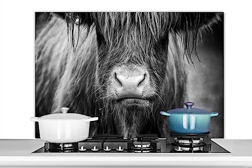 KitchenYeah© Küchenrückwand Platte Spritzschutz Küche Deko Aluminium Platte Spritzschutz Herd Alternative für Selbstklebende FolieSchottisches Hochlandrind - Kuh - Schwarz und Weiß - Tiere - 100x65 cm von KitchenYeah