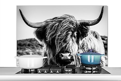 KitchenYeah© Küchenrückwand Platte Spritzschutz Küche Deko Aluminium Platte Wandschutz Küchen Zubehör WandverkleidungKuh - Schottisches Hochlandrind - Schwarz - Weiß - Tiere - 100x65 cm von KitchenYeah