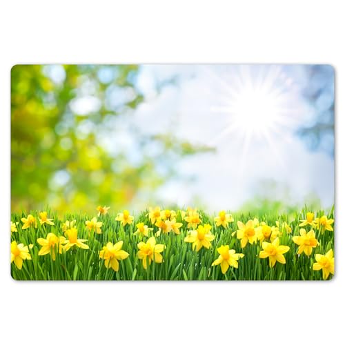 KitchenYeah© Platzsets Abwaschbar 6-Teilig 45x30 cm Tischsets Platzdeckchen Platzset Unterlage Tischset Esstisch Edle Tischunterlage Placemat Blumen - Frühling - Gelb von KitchenYeah