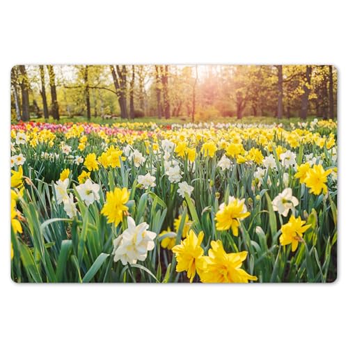 KitchenYeah© Platzsets Abwaschbar 6-Teilig 45x30 cm Tischsets Platzdeckchen Platzset Unterlage Tischset Esstisch Edle Tischunterlage Placemat Narzisse - Farben - Frühling von KitchenYeah