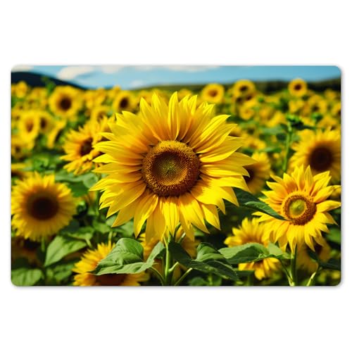 KitchenYeah© Platzsets Abwaschbar 6-Teilig 45x30 cm Tischsets Platzdeckchen Platzset Unterlage Tischset Esstisch Edle Tischunterlage Placemat Sonnenblume - Gelb - Natur - Blumen von KitchenYeah