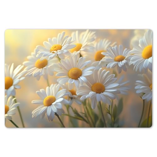 KitchenYeah© Platzsets Abwaschbar 6-Teilig 45x30 cm Tischsets Platzdeckchen rutschfeste Platzset Unterlage Tisch Set Esstisch Modern Placemats Gänseblümchen - Weiß - Sonnenlicht von KitchenYeah