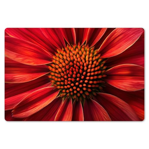 KitchenYeah© Platzsets Abwaschbar 6er Set 45x30 cm Tischsets Platzdecken Platzset Tischset Esstisch Tischuntersetzer Unterlagen rutschfest Nahaufnahme - Blume - Rot von KitchenYeah