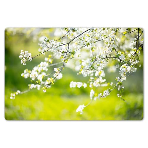 KitchenYeah© Platzsets Abwaschbare Placemats Set 6 45x30 cm Tischsets Platzdeckchen Platzset Tischset Esstisch Telleruntersetzer Waschbar Blüte - Frühling - Weiß von KitchenYeah