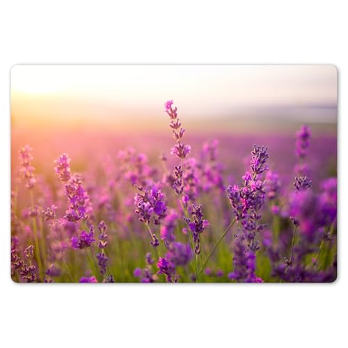 KitchenYeah© Platzsets Abwaschbare Placemats Set 6 45x30 cm Tischsets Platzdeckchen Platzset Tischset Esstisch Telleruntersetzer Waschbar Lavendel - Frühling - Violett von KitchenYeah
