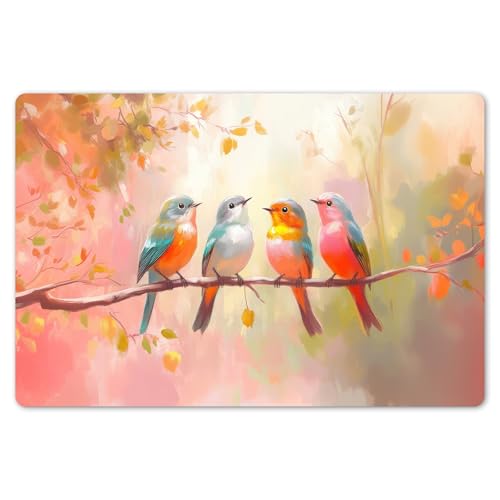 KitchenYeah© Platzsets Abwaschbare Placemats Set 6 45x30 cm Tischsets Platzdeckchen Platzset Tischset Esstisch Telleruntersetzer Waschbar Vögel - Bunter - Zweig von KitchenYeah