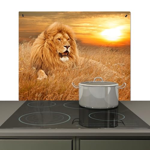 KitchenYeah© Spritzschutz Herd Küchenrückwand Vinyl 65x52 cm Kuchendeko Kitchen Wall Protector, Kochfeld Abdeckung Löwe - Sonnenuntergang - Natur - Tier von KitchenYeah
