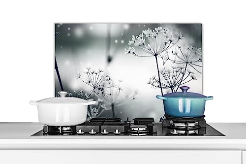 KitchenYeah© Küchenrückwand Platte Spritzschutz Küche Deko Aluminium Platte Wandschutz Küchen Zubehör WandverkleidungBlumen - Natur - Schwarz und weiß - Fotografie - 60x40 cm von KitchenYeah