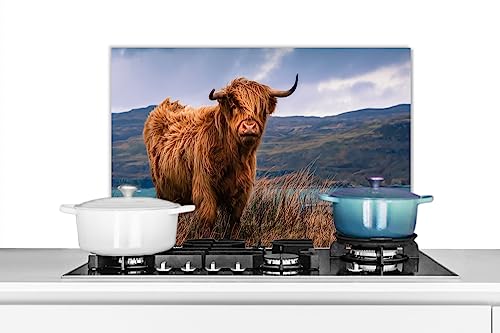 KitchenYeah© Spritzschutz Küchenrückwand Küche Deko Aluminium Platte Wandschutz Herd Spritzschutz WandverkleidungSchottisches Hochlandrind - Berg - Wasser - Natur - Kuh - 70x50 cm von KitchenYeah