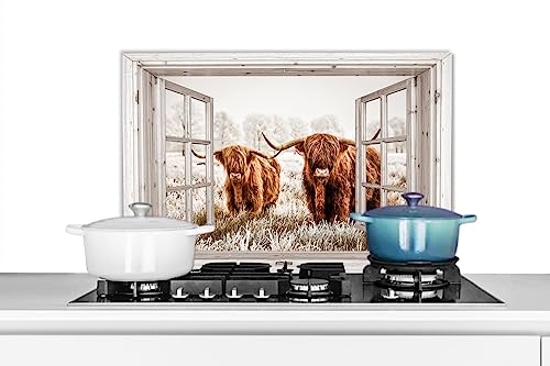 KitchenYeah© Spritzschutz Küchenrückwand Platte Kuchendeko Aluminium Platte Kitchen Wall Protector Rückwand KücheDurchsichtige - Schottisches Hochlandrind - Kuh - Tiere - Braun - 70x50 cm von KitchenYeah