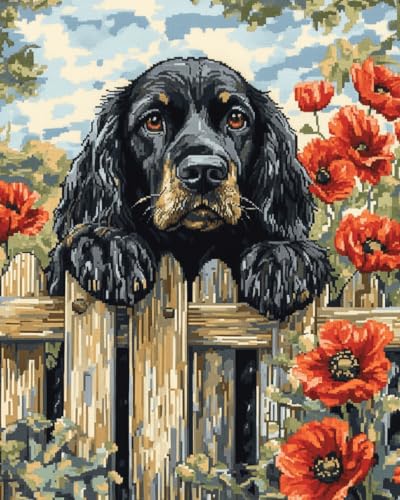 Kitquiver Knüpfteppiche Hund Teppich Knüpfen Set Erwachsene Anfänger 52X38cm DIY Knüpfsets mit Werkzeug Knüpfhaken-Teppich Teppichherstellungs Handarbeit für Heimdekoration von Kitquiver