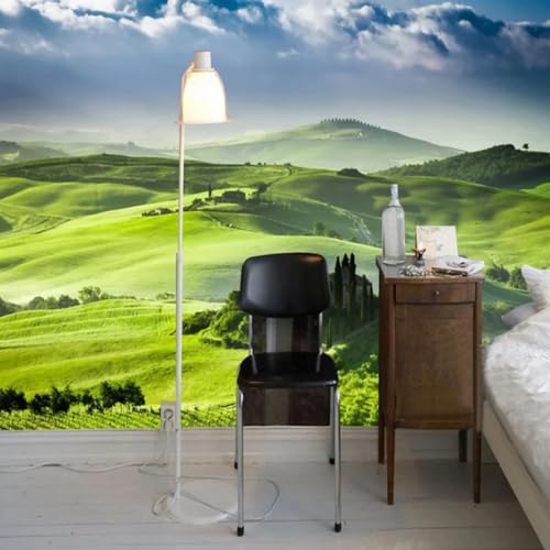 Kitquiver Wall Painting 3D Grüne Graslandlandschaft 3D-Großes Wandbild,Ablösbar,Wanddekoration Für Esszimmer,Schlafzimmer,Wohnzimmer 350x245cm Kitquiver Wall Painting 3D Grüne Graslandlandschaft 3D-Großes Wandbild,Ablösbar,Wanddekoration Für Esszimmer,Schlafzimmer,Wohnzimmer 350x245cm von Kitquiver