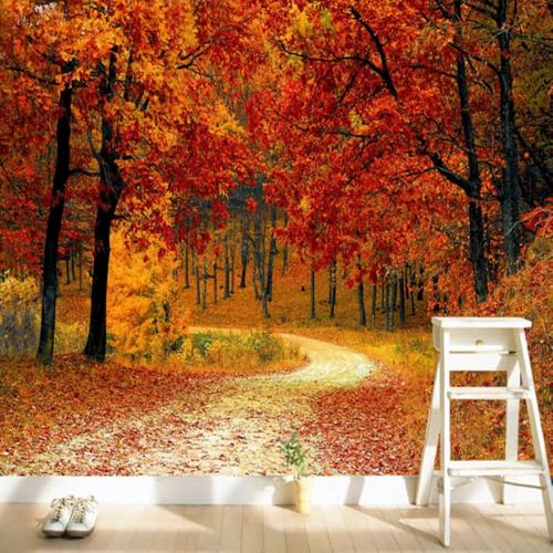 Tapete 3D Effekt 3D Roter Ahornwaldpfad 3D-Fototapete,Wandbild,Wohnzimmer,Schlafzimmer,Deckenhintergrund,Dekorationsmalerei 300x210cm Tapete 3D Effekt 3D Roter Ahornwaldpfad 3D-Fototapete,Wandbild,Wohnzimmer,Schlafzimmer,Deckenhintergrund,Dekorationsmalerei 300x210cm von Kitquiver