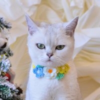 Bezaubernde Eleganz Lebhaftes Blau-Grünes Weihnachtshalsband Für Festlichkeiten von KittenArtCrochet