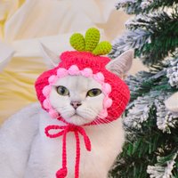 Entzückender Rosa Karotten-Hut Für Festliche Pelzige Freunde von KittenArtCrochet