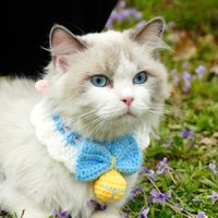 Handgestrickter Häkel-Haustierkragen | Niedliches Katzen Und Hunde Accessoire Verstellbarer Strickkragen Katze Geschenk Haustier Zubehör von KittenArtCrochet