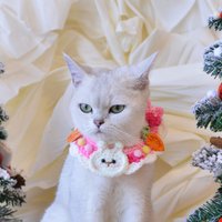 Zauberhafte Eleganz Handgefertigtes Rosafarbenes Häschen-Weihnachtshalsband Für Pelzige Festlichkeiten von KittenArtCrochet