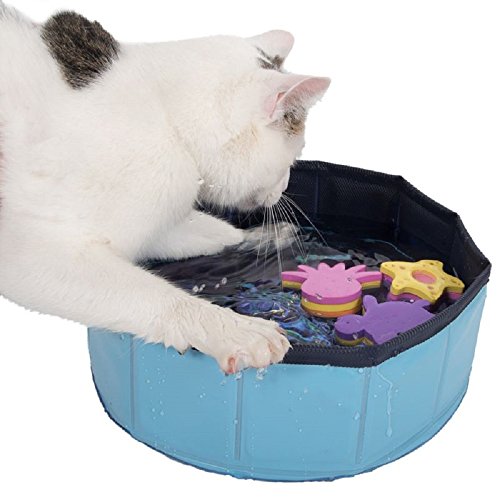 Kitty Pool Cat Play Toys platzsparend zusammenfaltbares Design von Kitty