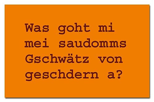was goht mi MEI saudomms Gschwätz von geschdern a? Kühlschrankmagnet | Flexible Magnettafel | schwäbische Sprüche als Geschenk oder Mitbringsel was goht mi MEI saudomms Gschwätz von geschdern a? Kühlschrankmagnet | Flexible Magnettafel | schwäbische Sprüche als Geschenk oder Mitbringsel von Kiwikatze