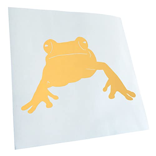 - Autoaufkleber - Frosch Frog Teich Aufkleber für Auto, Laptop, Fahrrad, LKW, Motorrad mehrfarbig JDM Decal Racing von Kiwistar