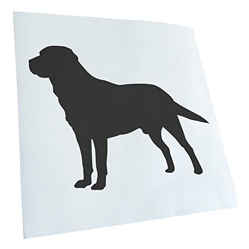 - Autoaufkleber - Labrador Hund Retriever Aufkleber für Auto, Laptop, Fahrrad, LKW, Motorrad mehrfarbig JDM Decal Racing von Kiwistar