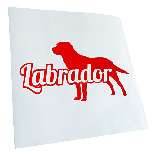 - Autoaufkleber - Labrador mit Name Retriever Aufkleber für Auto, Laptop, Fahrrad, LKW, Motorrad mehrfarbig JDM Decal Racing von Kiwistar