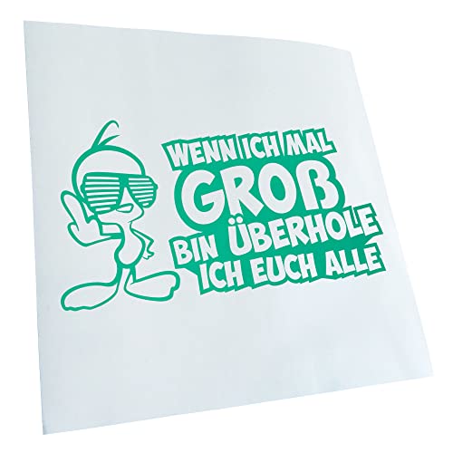 - Autoaufkleber - Wenn ich groß bin…Design NrNr2 Aufkleber für Auto, Laptop, Fahrrad, LKW, Motorrad mehrfarbig JDM Decal Racing von Kiwistar