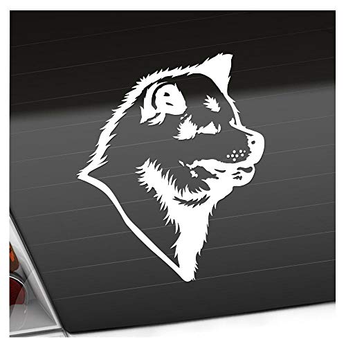 Kiwistar - Autoaufkleber - Akita Hund - Weiss - 24x20cm - Aufkleber für Auto, Laptop, Fahrrad, LKW, Motorrad mehrfarbig JDM Decal Racing von Kiwistar