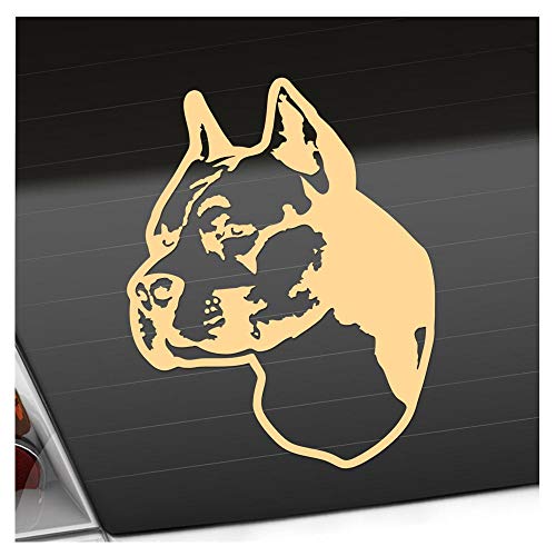 Kiwistar - Autoaufkleber - American Staffordshire Terrier - Creme - 60x46cm - Aufkleber für Auto, Laptop, Fahrrad, LKW, Motorrad mehrfarbig JDM Decal Racing von Kiwistar