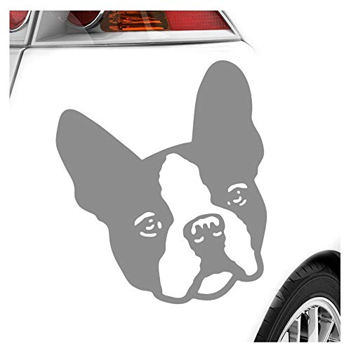 Kiwistar - Autoaufkleber - Boston Terrier Hund - Grau - 12x10cm - Aufkleber für Auto, Laptop, Fahrrad, LKW, Motorrad mehrfarbig JDM Decal Racing von Kiwistar