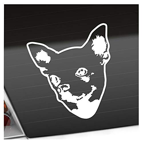Kiwistar - Autoaufkleber - Chihuahua Hund - Weiss - 11x10cm - Aufkleber für Auto, Laptop, Fahrrad, LKW, Motorrad mehrfarbig JDM Decal Racing von Kiwistar