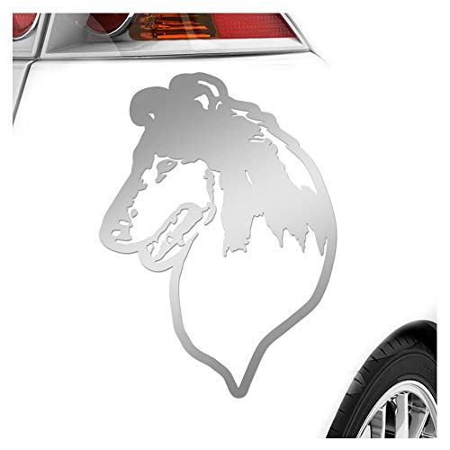 Kiwistar - Autoaufkleber - Collie Hund - Silber - 30x21cm - Aufkleber für Auto, Laptop, Fahrrad, LKW, Motorrad mehrfarbig JDM Decal Racing von Kiwistar