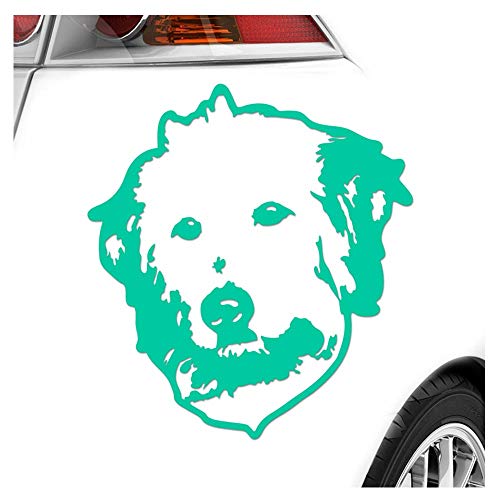 Kiwistar - Autoaufkleber - Golden doodle Hund - Türkis - 24x22cm - Aufkleber für Auto, Laptop, Fahrrad, LKW, Motorrad mehrfarbig JDM Decal Racing von Kiwistar