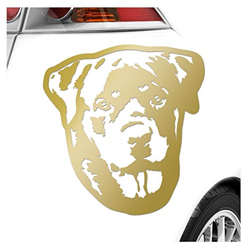 Kiwistar - Autoaufkleber - Rottweiler Hund - Gold - 50x45cm - Aufkleber für Auto, Laptop, Fahrrad, LKW, Motorrad mehrfarbig JDM Decal Racing von Kiwistar