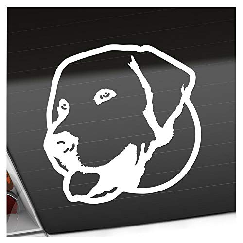 Kiwistar - Autoaufkleber - labrador retriever Hund - Weiss - 11x10cm - Aufkleber für Auto, Laptop, Fahrrad, LKW, Motorrad mehrfarbig JDM Decal Racing von Kiwistar