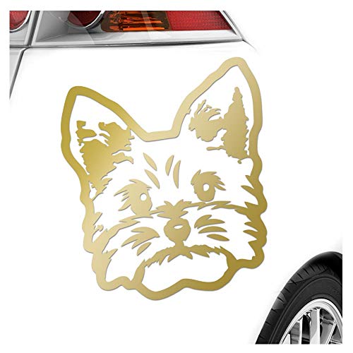 Kiwistar - Autoaufkleber - yorkshire terrier Hund - Gold - 11x10cm - Aufkleber für Auto, Laptop, Fahrrad, LKW, Motorrad mehrfarbig JDM Decal Racing von Kiwistar