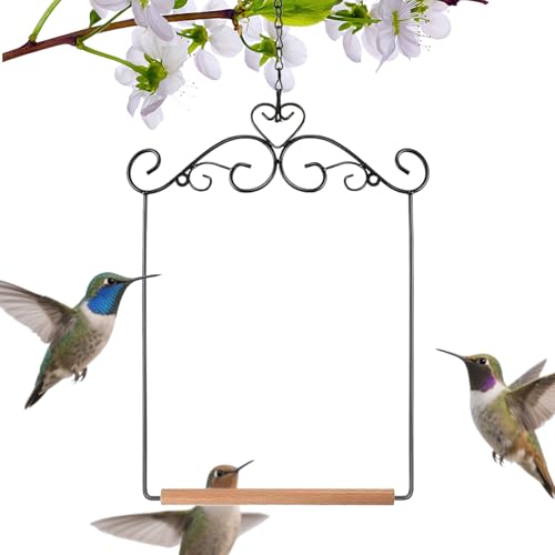 Kixolazr Kolibri-Schaukel – zum Aufhängen | Vogelkäfigschaukel Spielzeug Spielplatz Ständer für Nymphensittiche Sittiche Aras Stamm Rasen Garten Terrasse Outdoor Kixolazr Kolibri-Schaukel – zum Aufhängen | Vogelkäfigschaukel Spielzeug Spielplatz Ständer für Nymphensittiche Sittiche Aras Stamm Rasen Garten Terrasse Outdoor von Kixolazr