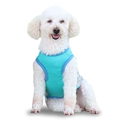 Kixolazr Kühlweste für Hunde, Kühljacke für Hunde | Reflektierendes Hundeshirt,Bequeme und atmungsaktive Hundejacke, kühlere Hundeweste für Outdoor-Jagdtraining und Camping Kixolazr Kühlweste für Hunde, Kühljacke für Hunde | Reflektierendes Hundeshirt,Bequeme und atmungsaktive Hundejacke, kühlere Hundeweste für Outdoor-Jagdtraining und Camping von Kixolazr