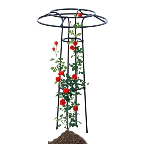 Kixolazr Pflanzen Rankhilfe Für Innenbereich | Kletterhilfe Für Blumen | Multifunktionale Schirm-Rankhilfe aus Stahl für Balkon, Gewächshaus, Terrasse und Garten Kixolazr Pflanzen Rankhilfe Für Innenbereich | Kletterhilfe Für Blumen | Multifunktionale Schirm-Rankhilfe aus Stahl für Balkon, Gewächshaus, Terrasse und Garten von Kixolazr